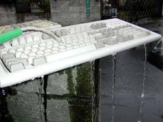 ジョウロで水を…